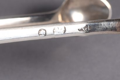 Silver sugar tongs, figured SM. Province,...