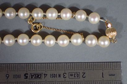 Shocker necklace with 65 white cultured pearls,...