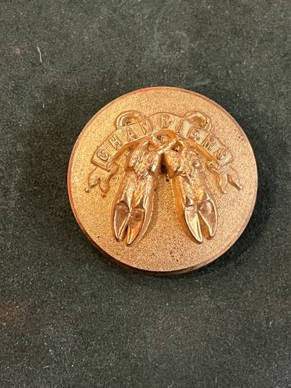 IDF. Bouton de tenue de l’équipage Desvignes...