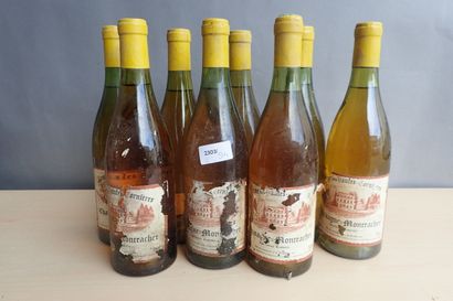 8 bouteilles Chassagne Montrachet Domaine...