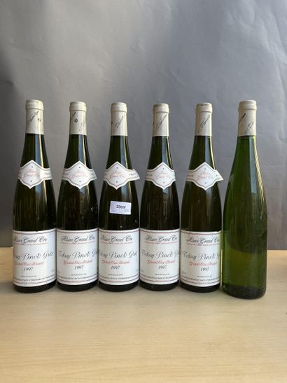 6 bouteilles Alsace Tokay Pinot Gris Grand...