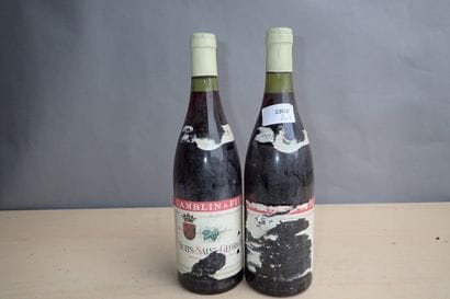 2 bouteilles Nuits Saint Georges 1978 Lamblin...