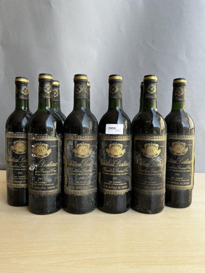 10 bouteilles Château Destieux 1985 Saint...