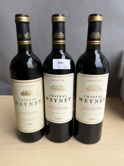 3 bouteilles dont 1 bouteille Château Meyney...