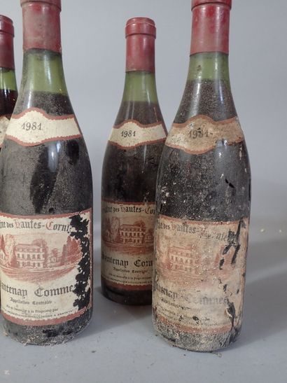 12 bouteilles Santenay Commes 1981 Domaine...