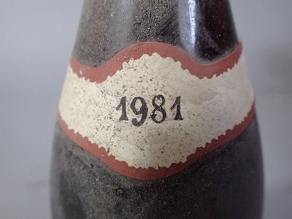 12 bouteilles Santenay Commes 1981 Domaine...