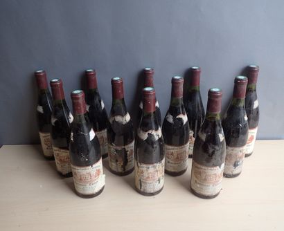 12 bouteilles Santenay Commes 1er Cru Domaine...