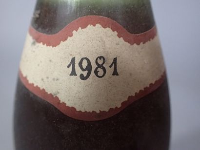 2 bouteilles Santenay Commes 1981 Domaine...
