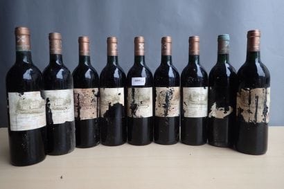 9 bouteilles Château Saint Pierre 1986 Saint...