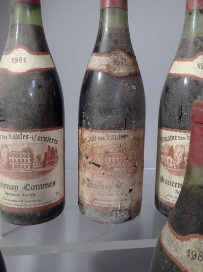 12 bouteilles Santenay Commes 1981 Domaine...