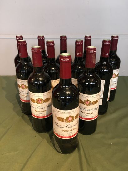 12 bouteilles Château Croizet Bages 2009...