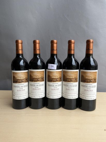 5 bouteilles dont 1 bouteille Château Paveil...