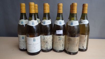 10 bouteilles Chassagne Montrachet 1er Cru...