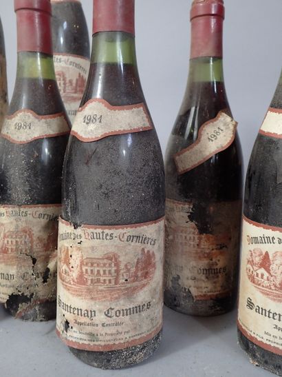 12 bouteilles Santenay Commes 1981 Domaine...