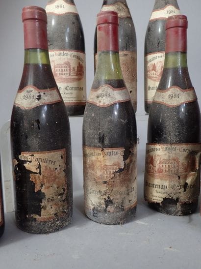 12 bouteilles Santenay Commes 1981 Domaine...