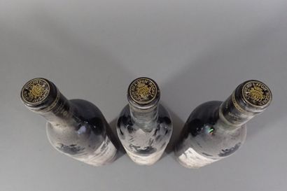 3 bouteilles Château Lafon Rochet 1982 Saint...