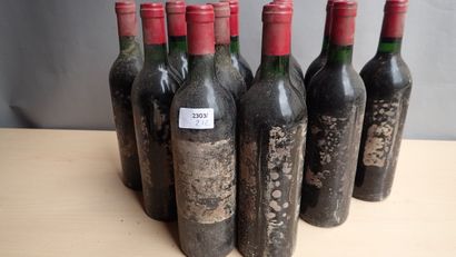 12 bouteilles Château Haut Marbuzet supposé...