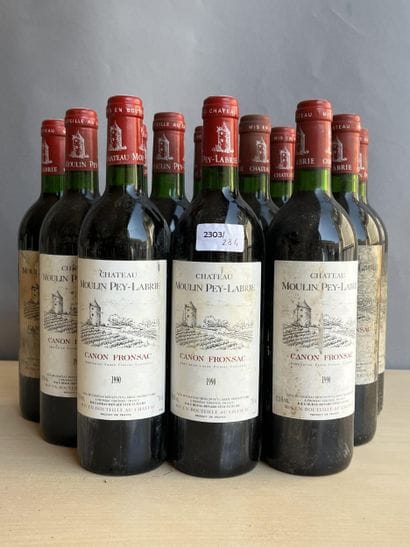 12 bouteilles Château Moulin Pey-Labrie 1990...