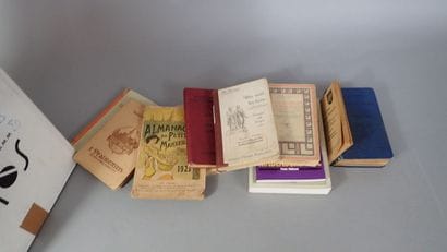 Lot de livres, manuel scolaire, dictionnaires...
