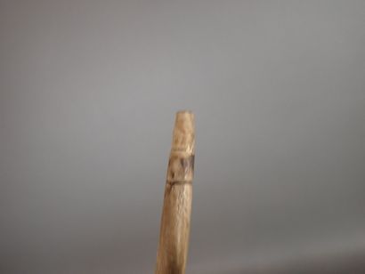 Canne de poilu en bois sculpté à décor de...