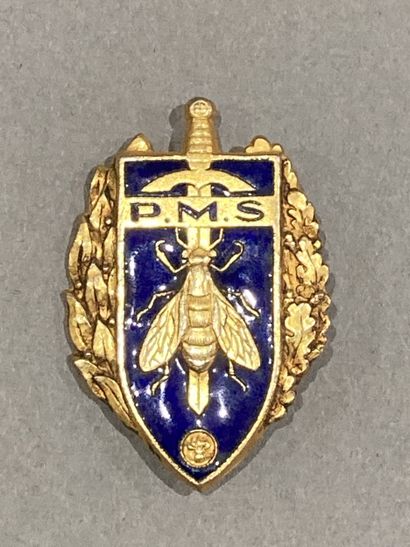Lot d’insignes et boutons : Insigne PMS (AB...