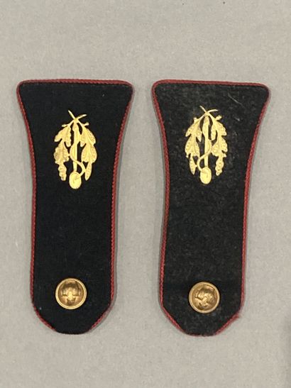 Lot d’insignes et boutons : Insigne PMS (AB...