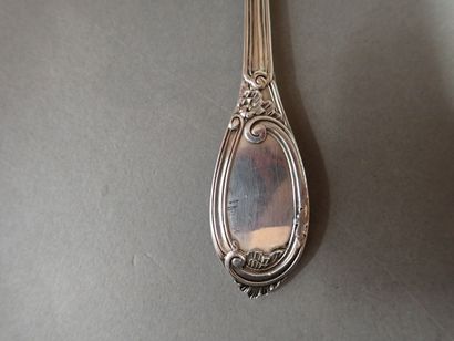Cuillère à saupoudrer en argent, le cuilleron...