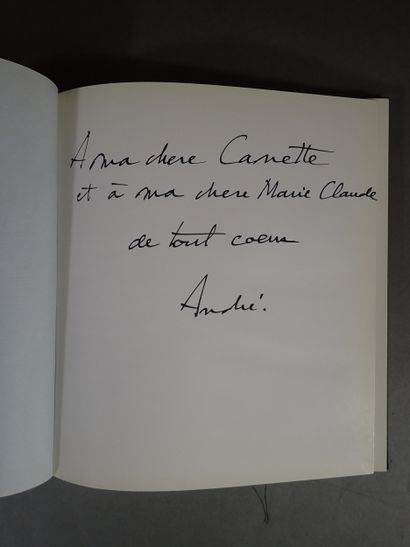 Lot d'environ six livres sur le peintre André...
