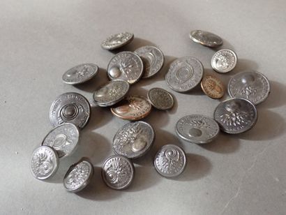 Ensemble de 21 boutons grenadier, chasseurs...