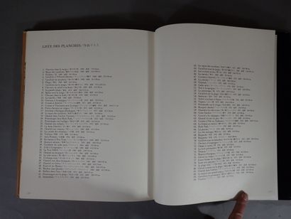 Lot d'environ six livres sur le peintre André...