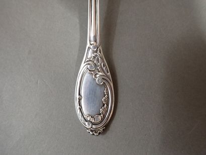Cuillère à saupoudrer en argent, le cuilleron...