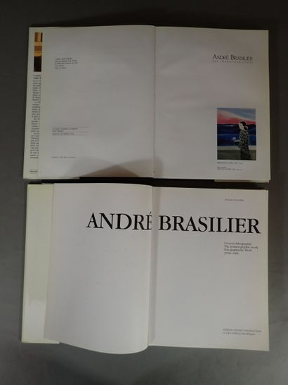 Lot d'environ six livres sur le peintre André...