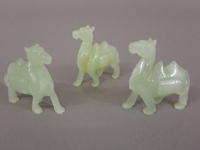 Ensemble de trois chameaux en pierre dure...
