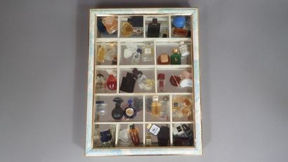 Lot de miniatures de parfums en vitrine dont...