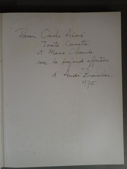 Lot d'environ six livres sur le peintre André...