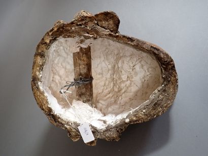 Reproduction en plâtre patiné d'une tête...