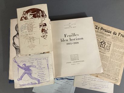 « Feuilles bleu horizon 1914-1918 » le livre...