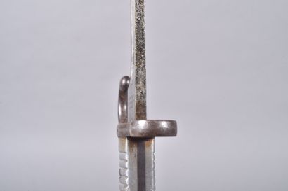 Argentine. Sabre baïonnette mle 1891. Poignée...