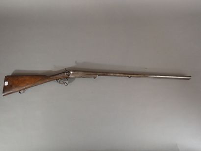 Fusil de chasse pour munitions à percussion...