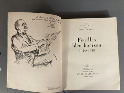 « Feuilles bleu horizon 1914-1918 » le livre...
