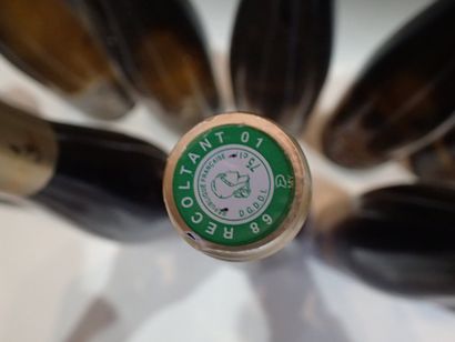 12 bouteilles dont 11 bouteilles Riesling...
