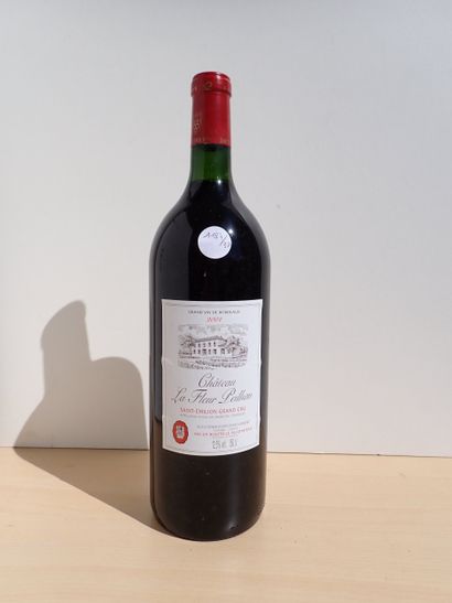 1 Magnum Château la Fleur Peilhan 2001 Saint...