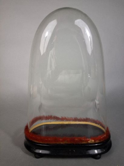 Globe en verre de section ovale, sur un socle...