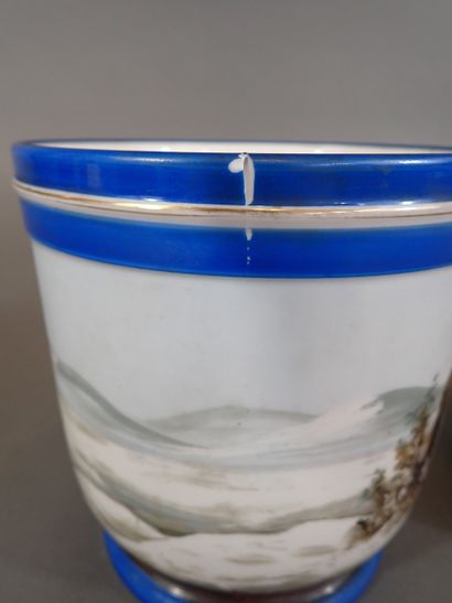 Paire de cache pots en porcelaine à décor...