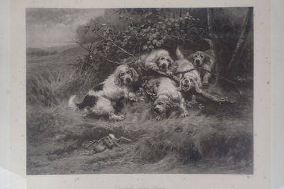 Jules Bertrand Gelibert: Le déboulé de lapin...