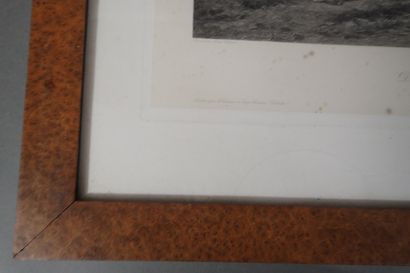 Jules Bertrand Gelibert: Le déboulé de lapin...