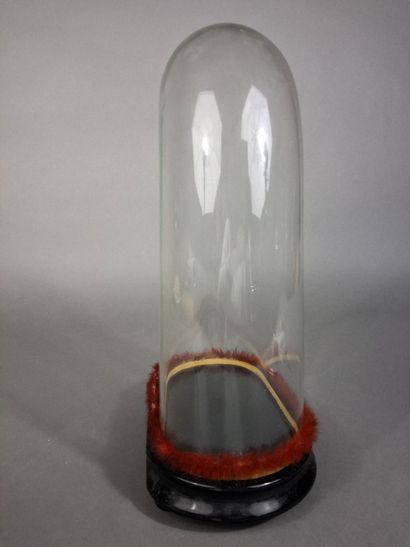 Globe en verre de section ovale, sur un socle...