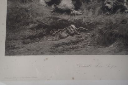 Jules Bertrand Gelibert: Le déboulé de lapin...