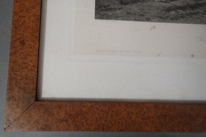 Jules Bertrand Gelibert: Le déboulé de lapin...