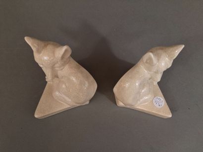 EMAUX DE LA LOUVIERE, Paire de fennecs en...